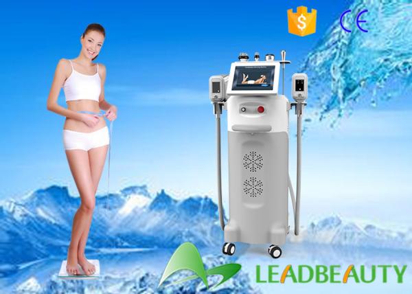 2016 best selling cryolipolysis/2016 cryolipolysis slimming machine/2016 weight