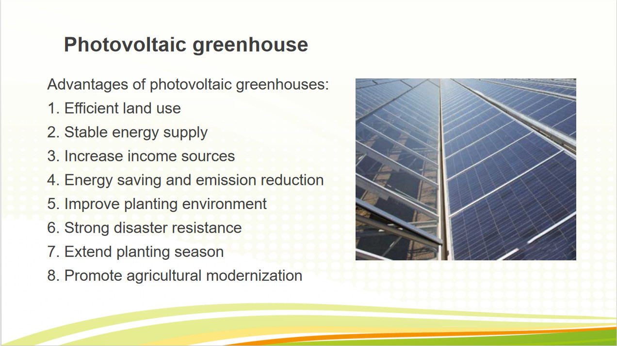 Glass Polycarbonate Cover Photovoltaic Greenhouse Include Automated Sytems