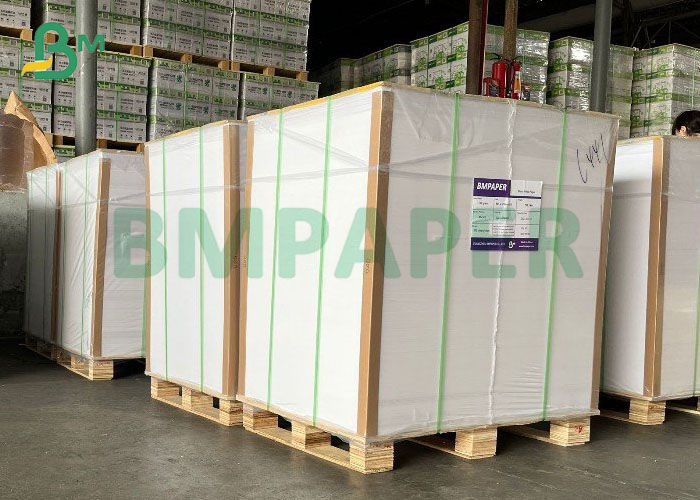 1 Side Gloss Coated 250gsm To 400gsm White FBB Folding Box Board Sheet