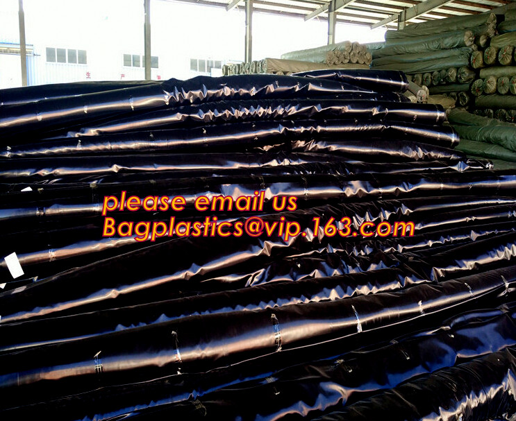 eco-friendly hdpe geomembrane liner geomembrane price,eco-friendly hdpe geomembrane liner waterproofing membranes BAGEAS