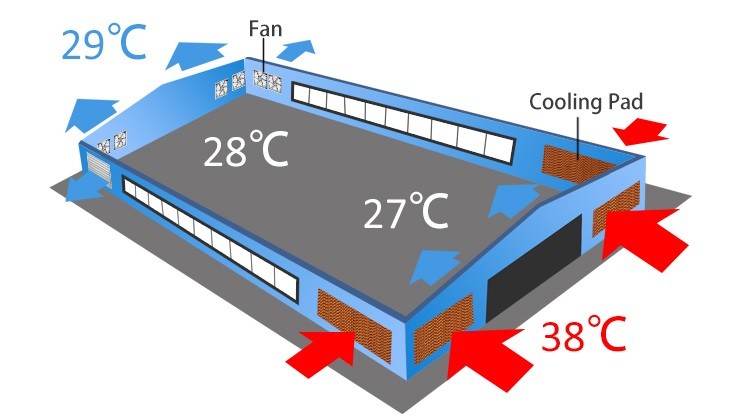 UV Resistant Polyethylene Film Light Controlled Greenhouse With Temperature Control
