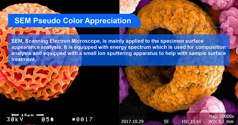 High Resolution Digital Scanning Optical Microscope Huge Sample Stage
