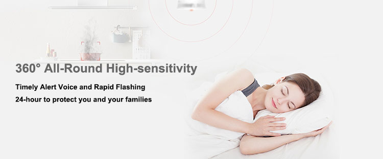 Zettron Independent Combustible Gas Leak Alarm For Home Security