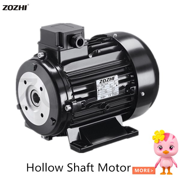 hollow shaft motor