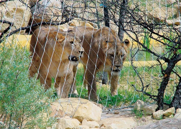 Stainless Steel 316 Hand Woven Rope Metal Fence Protective Mesh For Tiger/Lion