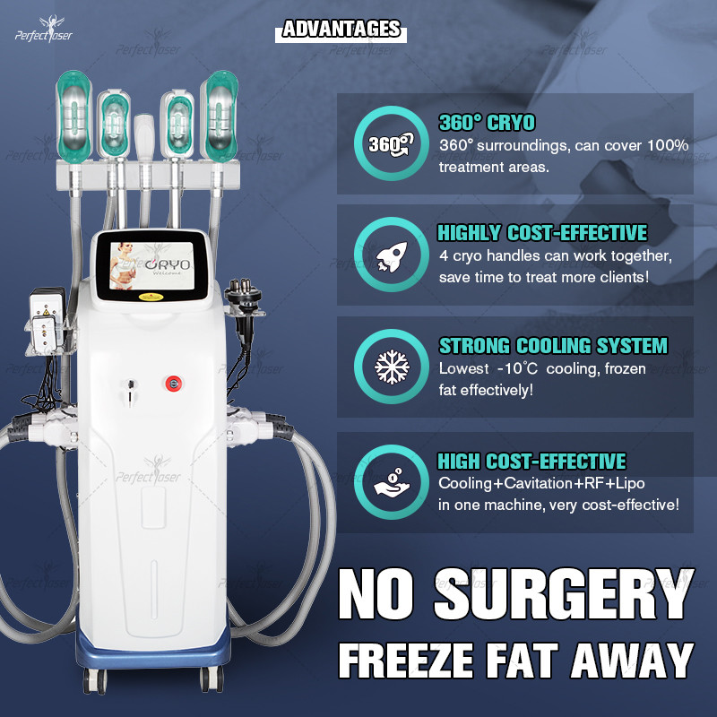 360 Cryolipolysis Slimming Machine Coolsculpting Weight Loss Body Contouring