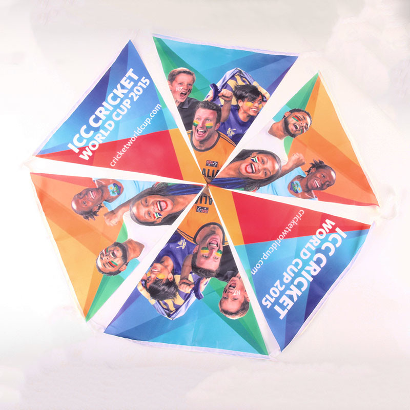 Homosexual Rainbow Bunting Flags 100% Polyester Material For Outdoor