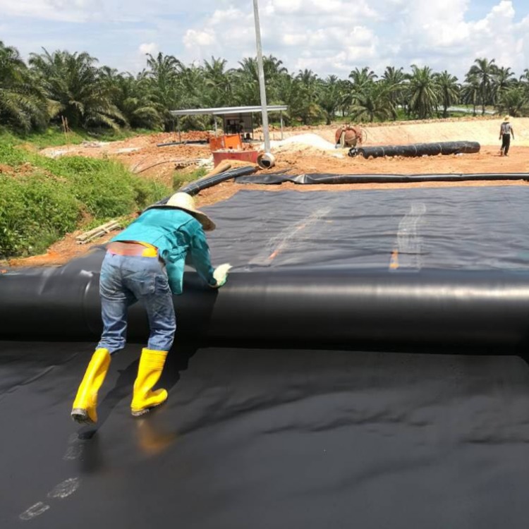 GM 13 Standard 0.2mm-3mm Thickness Waterproofing Geomembrane for Industrial Design Style
