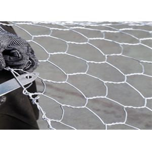 China RiverBank Protection rock filled Pvc Coated Mesh on sale