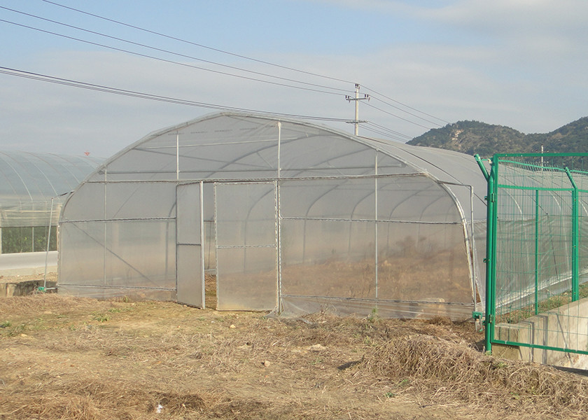 Backyard Agricultural Poly Tunnel Greenhouse Hot House For Plants