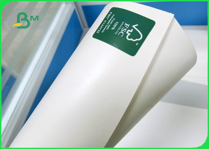 160gsm smothness ivory paper with 15gsm PE - Coated paper for paper cup