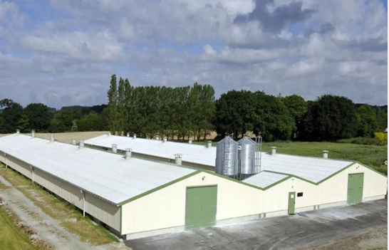 Safety Steel Structure Chicken House Lightweight Steel Frame Building