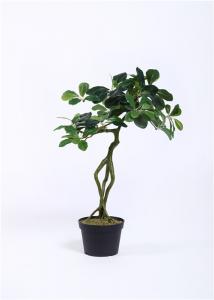 China Minimal Artificial Bonsai Tree No Falling Leaves Command Attention Pest Free on sale