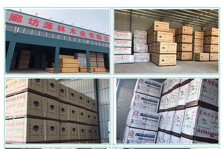 27Mm Formwork Film Coated Plywood For Building And House