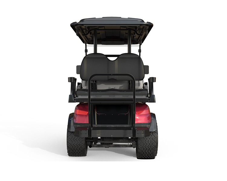 Street Legal Golf Cart NL-JA4 2.G Electric Buggy for Sightseeing Club 10% Climbing Ability 30Km/h Max. Speed