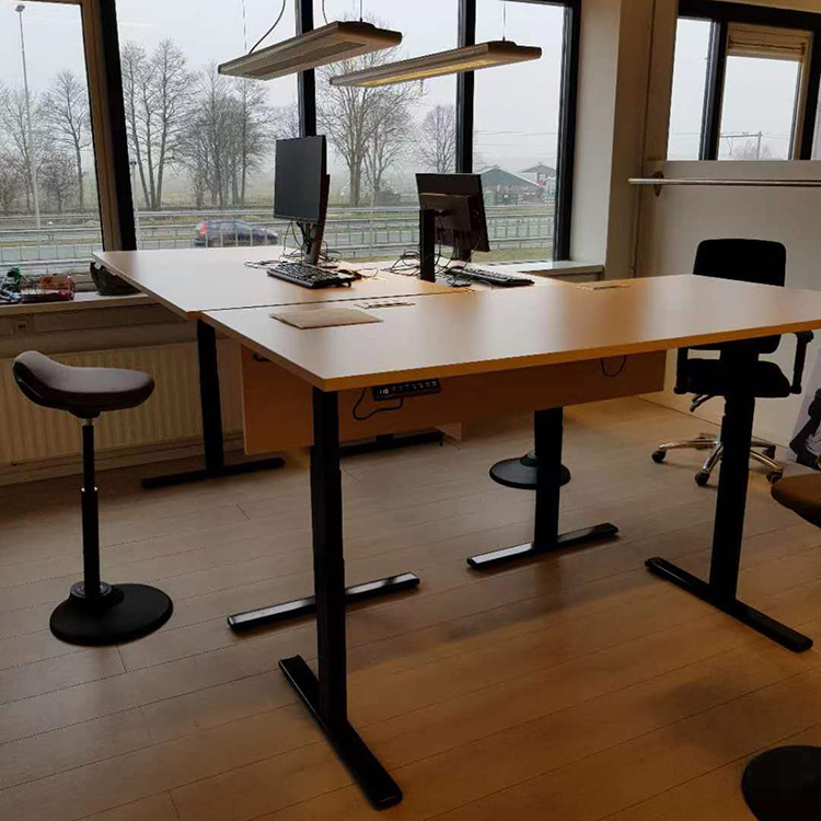 Adjustable Height Kid Computer Study Standing Table with Dual Motor in Custom Design
