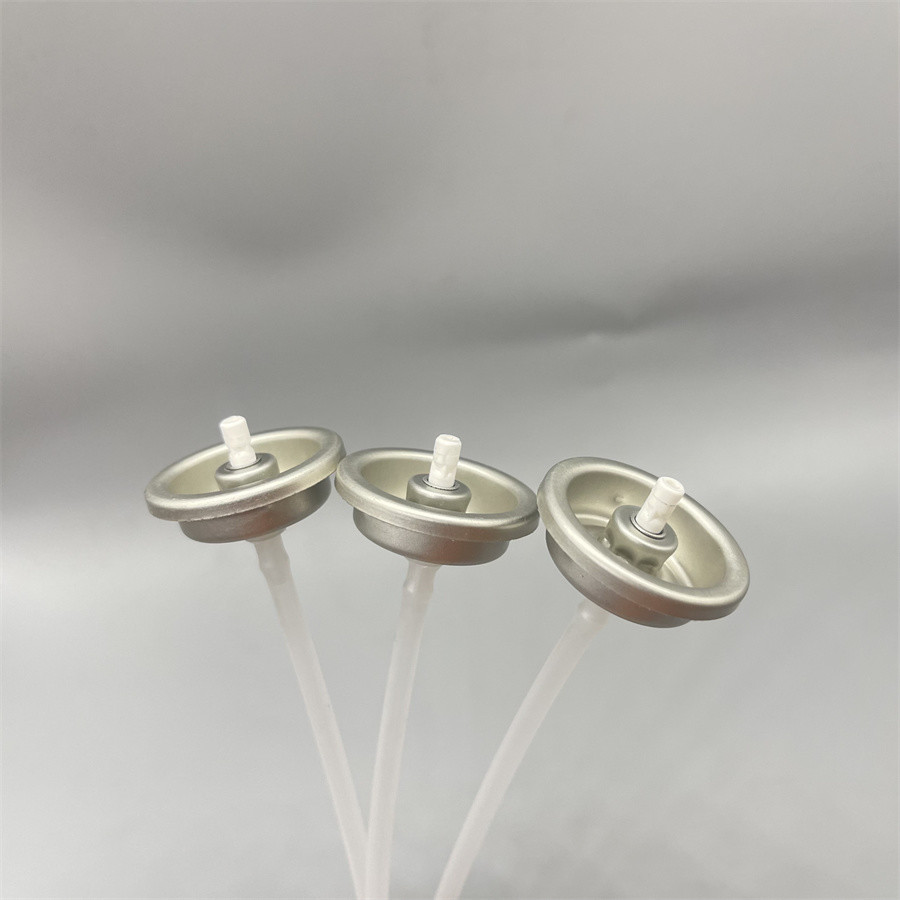 Marine Carburetor Maintenance Valve Clean and Protect for Reliable Performance on the Water
