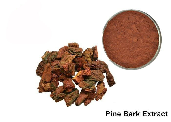 Anti Aging OPC Pine Bark Extract Powder For Cosmetics