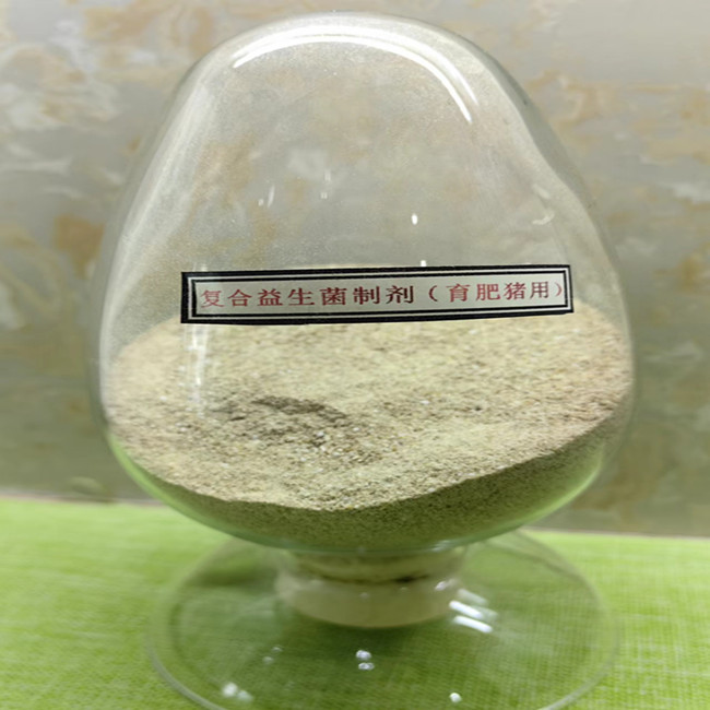 Rapid Action Probiotic Feed Additives Poultry Yellow Brown Powder