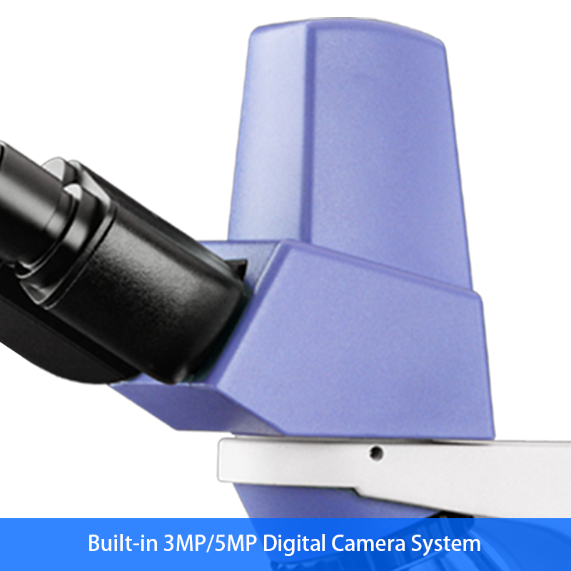 WF10X/20mm Seidentopf Binocular Digital Microscope A31.2601 With Mechanical Stage