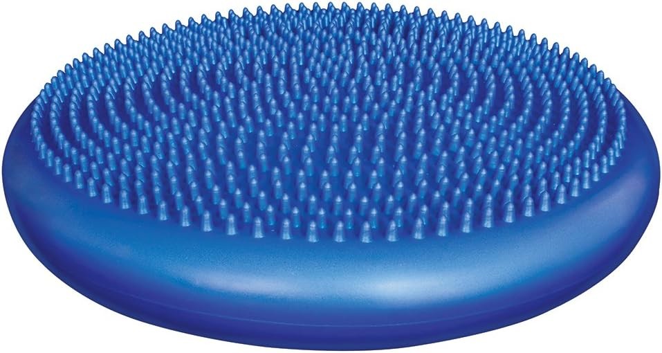Exercise Balance Stability Disc with Hand Pump
