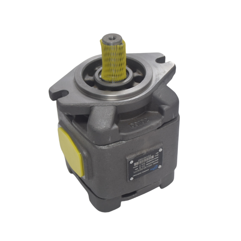 HG1 Fixed Displacement Hydraulic Internal Gear Pump HG1-25 HG1-32 HG1-40 HG1-50 HG1-63