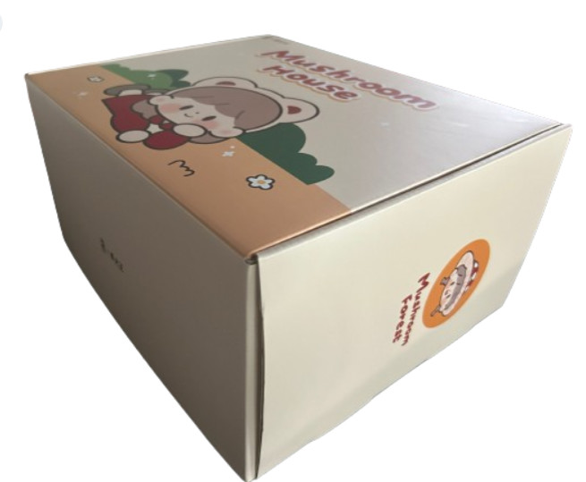 Extra Large Size Folding Carton Boxes Customized Logo Large Capacity Multi Color Box