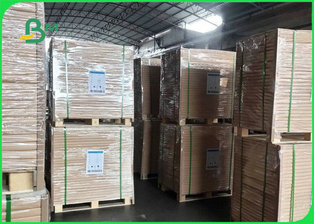 Greaseproof 300gsm + 15g 70 * 100cm PE Coated Paper For Hamburger Boxes 