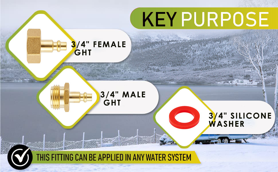 Winterization 3/4 NH-11.5 NPT Female Brass Blow Out Plug