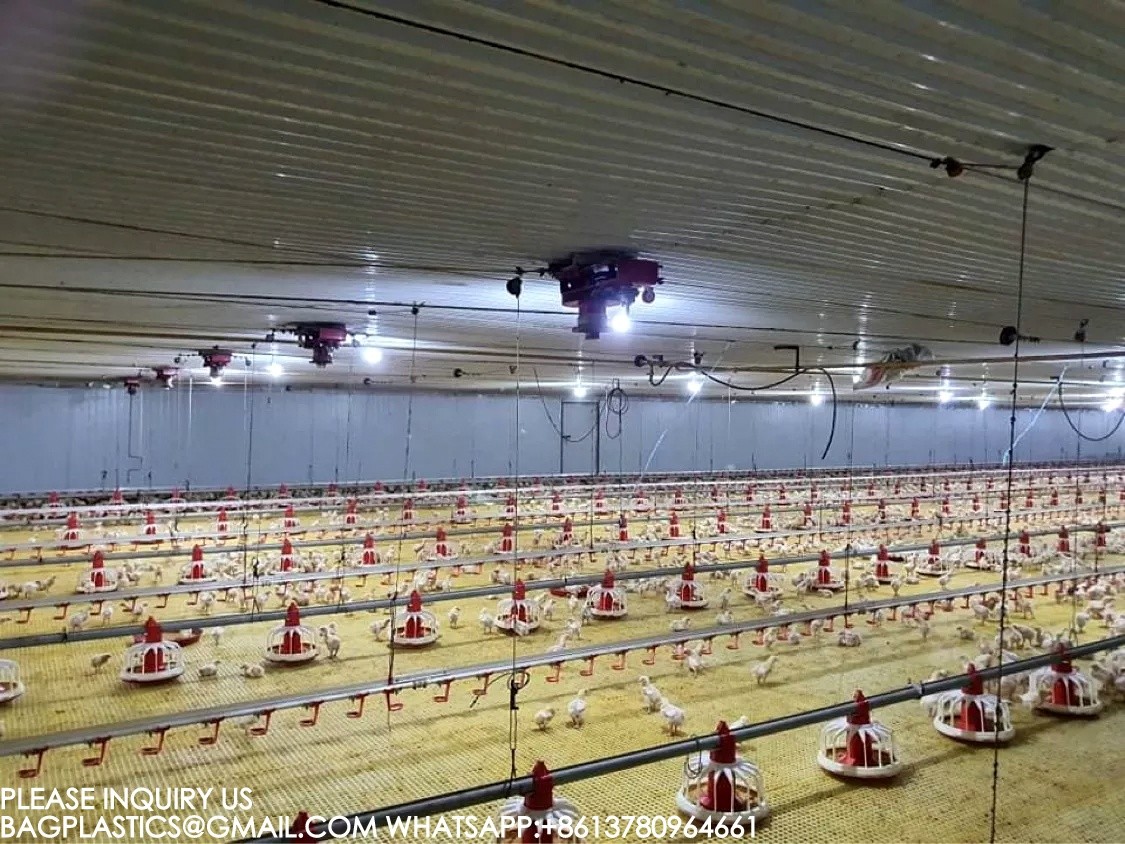 Agricultural Products Automatic Chicken Feeder Agricultural Greenhouses Animals Feeder