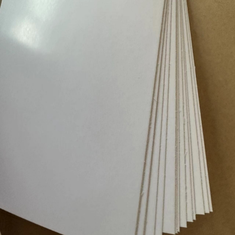 Anti-Curl Ivory Paper 210/230/250/270/300gsm FBB/GC1/C1S with Chemical Pulp and Standard