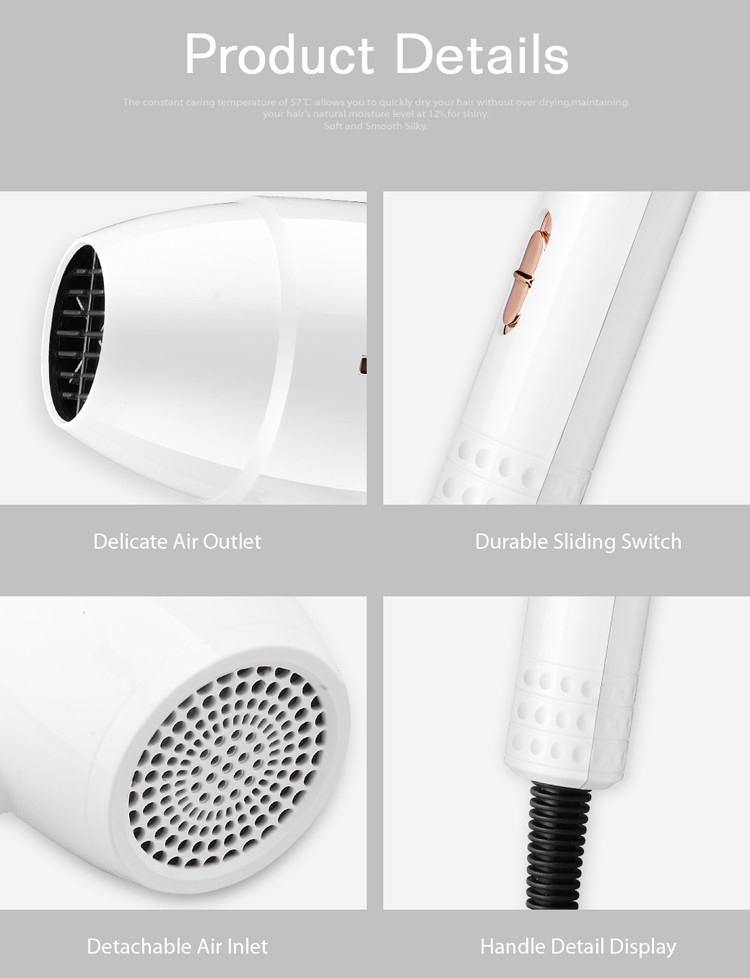 Axial Flow Dual Voltage Electric Hair Dryer For Travel Home Use