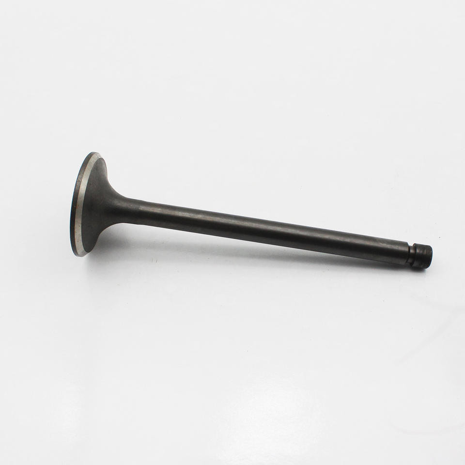 ME065587 ME091559 Diesel Engine Valve Inlet Exhaust For Mitsubishi 8DC11 8DC9