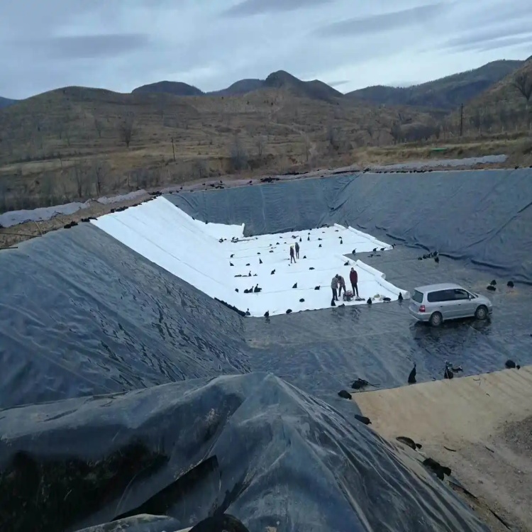 1.5mm HDPE Geomembrane Liner Cost Sheet for Waterproofing Project Solution Capability