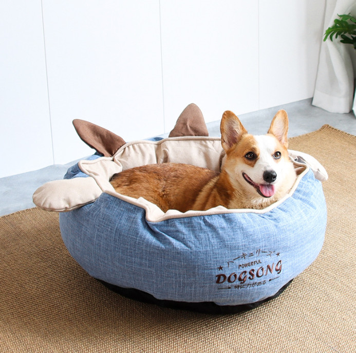 blue cat bed