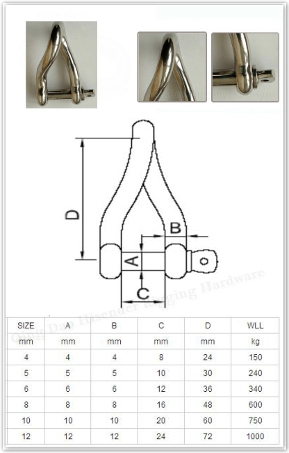 Forged 316 Stainless Steel Marine Twisted Long D Shackle