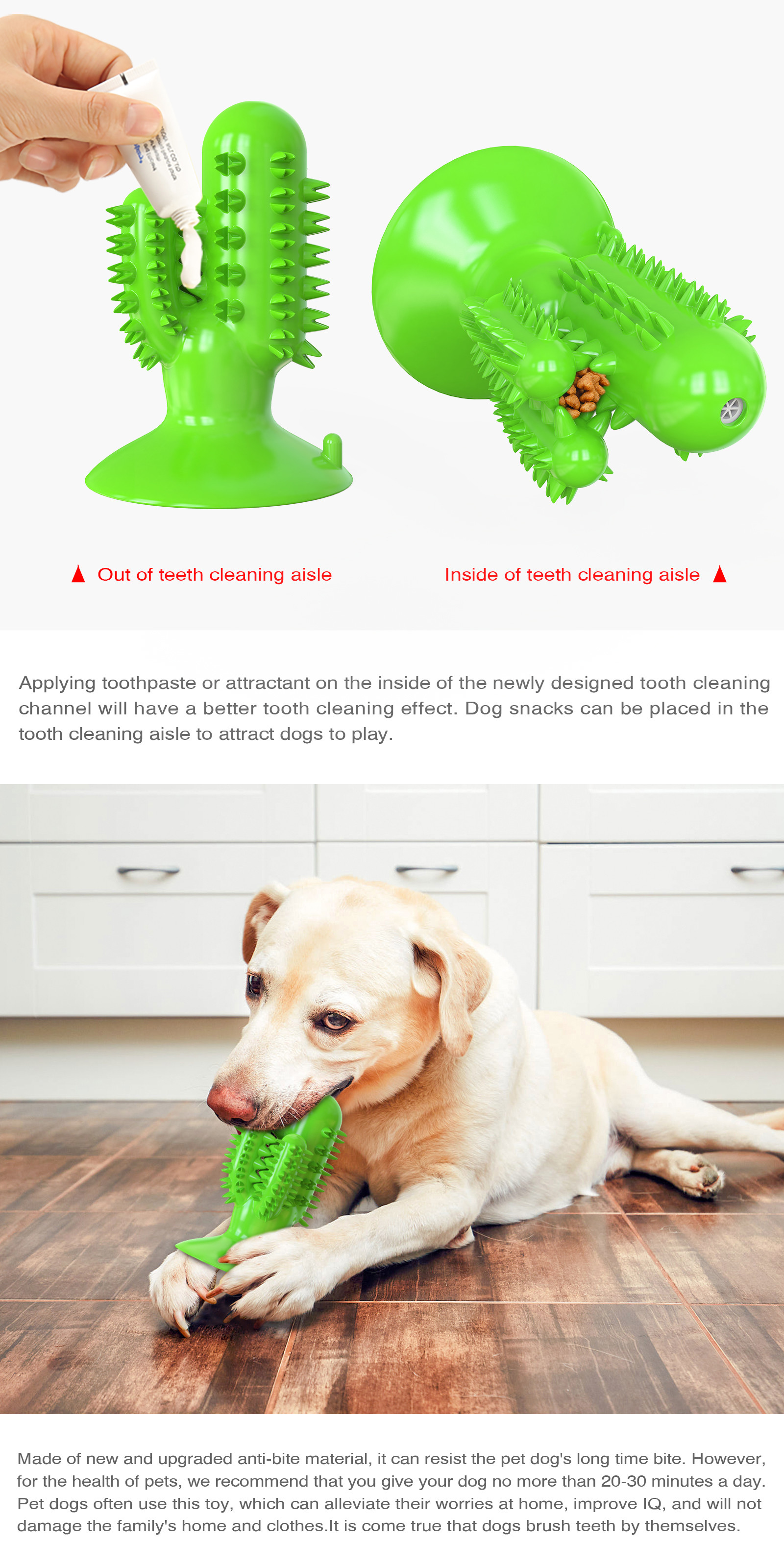Cactus Dog Teeth Cleaning Chew Toy Squeaky Rubber Relieve Anxiety TPR OEM
