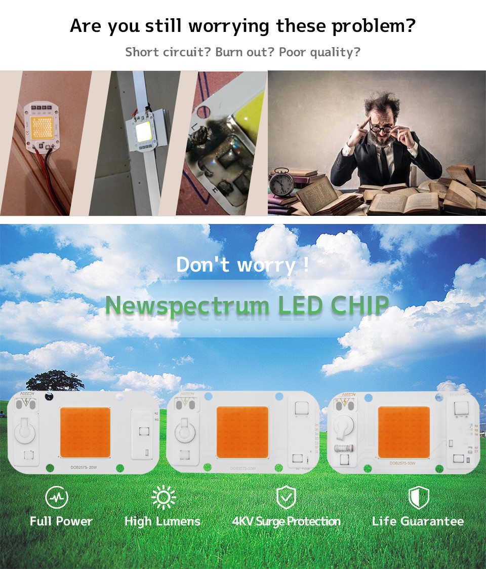 AC 220V Dob Led Chip 50w Cool Warm White For DIY Floodlight Grow Light