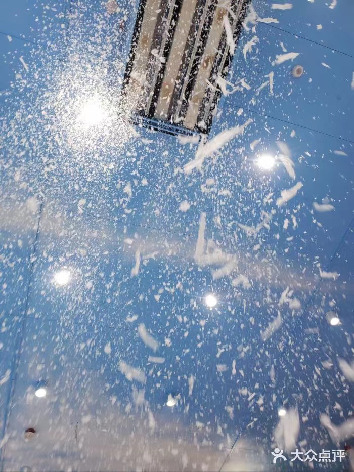 Create Stunning Snowy Landscapes with Focusun R404A Refrigerant Snow Making Equipment