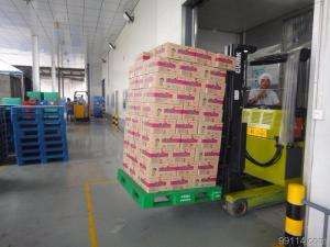 Newly plastic pallet special developed reinforced hygienic racking plastic pallets