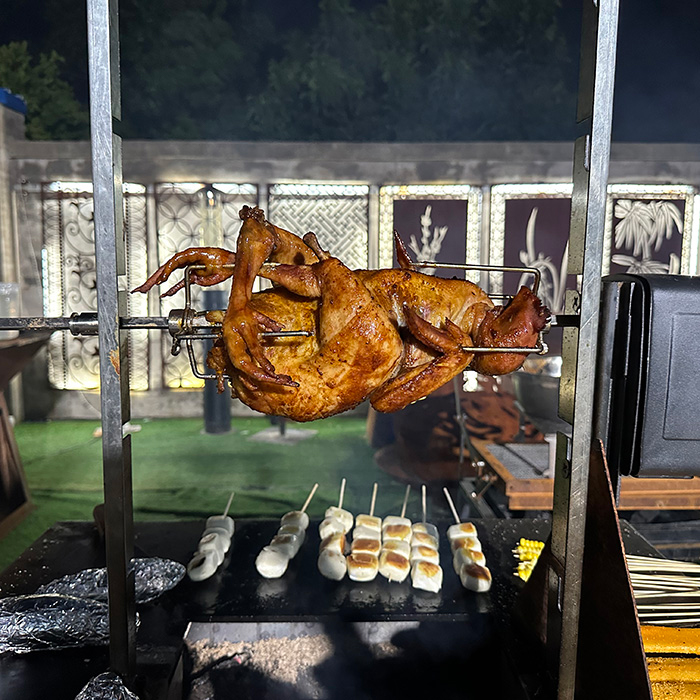outdoor cooking bbq grills