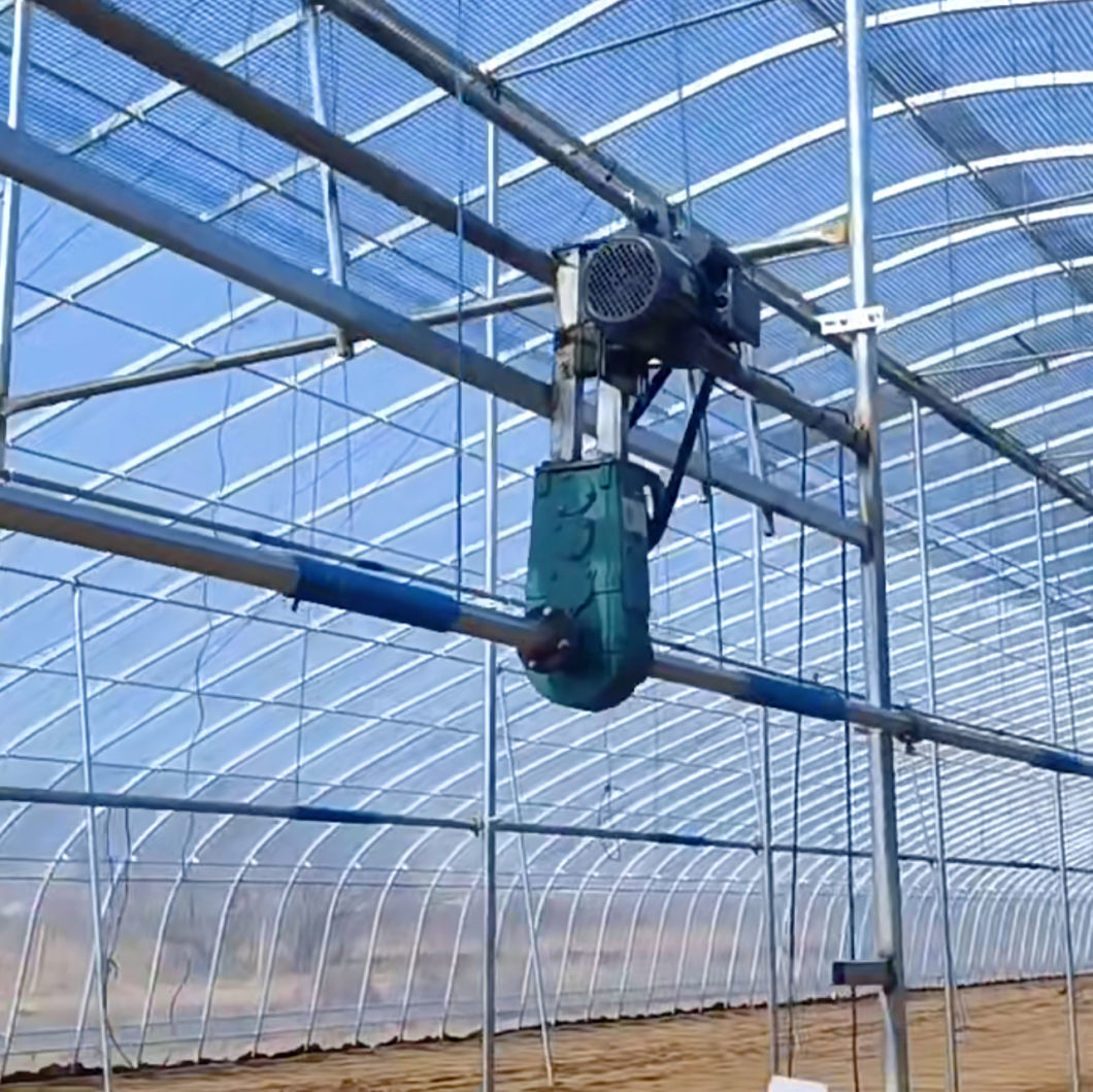 Innovative Agriculture Arches Tunnel Greenhouse