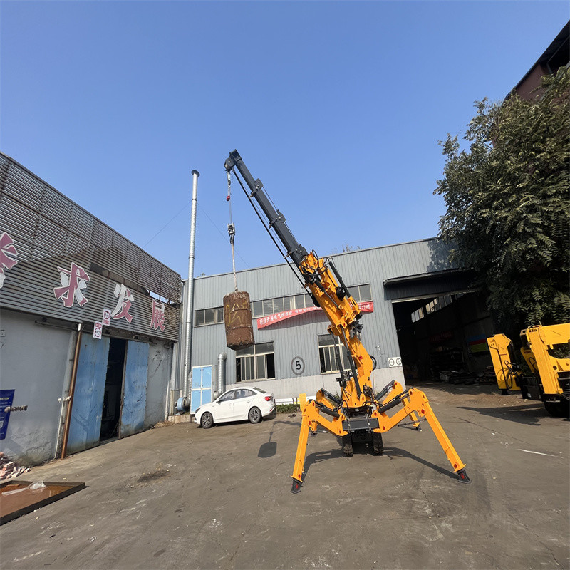 Electric And Diesel Power Spider Crawler Crane Customized 2500kg