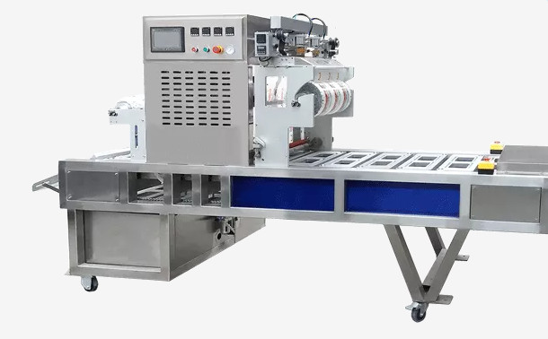 PLC 3000Pcs/h Industrial Vacuum Packaging Machine Big Inline Type Automatic Sealer