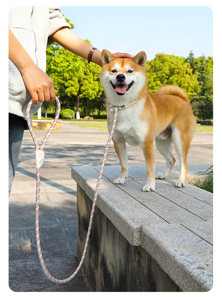 Pets Nylon Sturdy And durable Leash High Quality Traction Rope For Dog And Cat