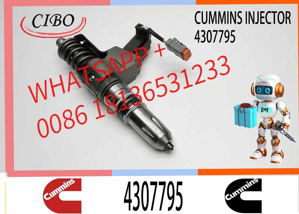 Auto Parts Common Rail Diesel Fuel Injector 4307795 3073995F For Cummins QSN14 N14