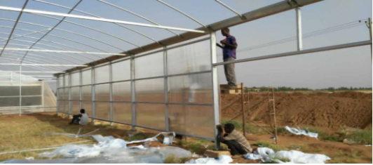 Multi-Span Agricultural Greenhouses with Used Container Hydroponic Growing Systems