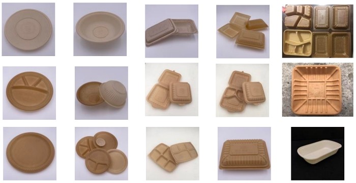 Thin Wall Compostable Disposable Food Container Making Machine Manufacturers