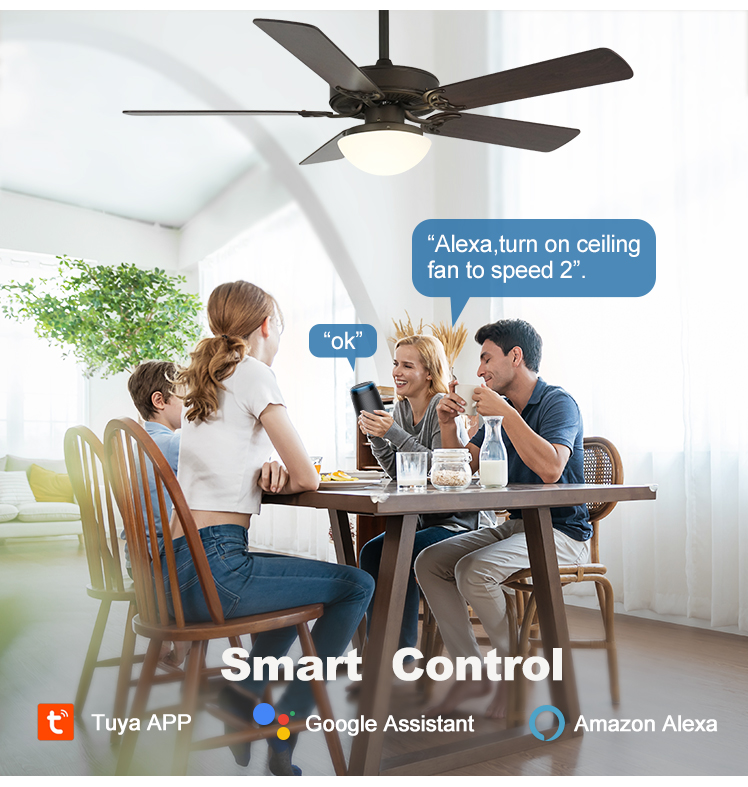 Wall Control 52 inches MDF 5 Blade LED Ceiling Fan with Dimmable Light Classic Design