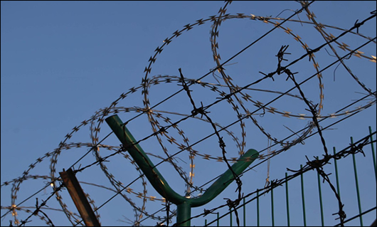 Galvanized Steel Wire Top Sale Electro GI Barbed Wire 50 KG Per Roll For Protection